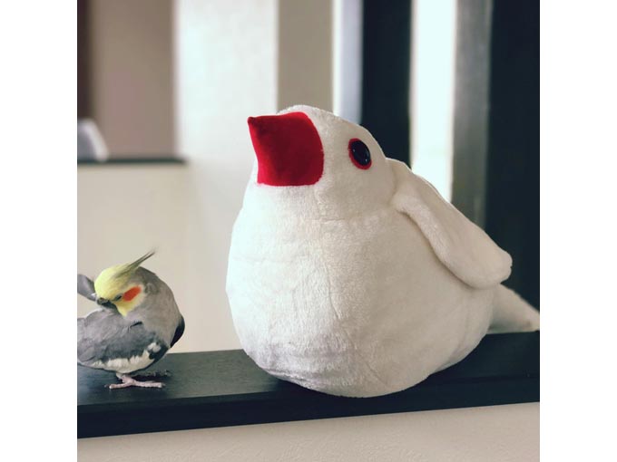 抱き文鳥ぬいぐるみ