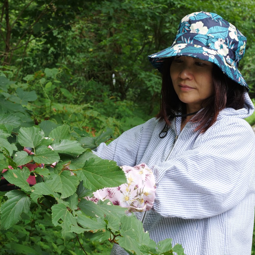 一人で佐渡に移住を決めて野草茶を手掛けるまで 創作品モール あるる