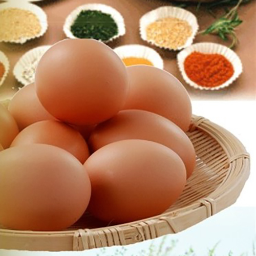 新鮮を直送！希少な国産鶏が産む有精卵の旨味。
