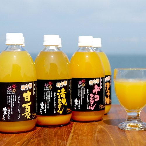 果実の美味しさ丸ごと！愛媛の柑橘ジュース