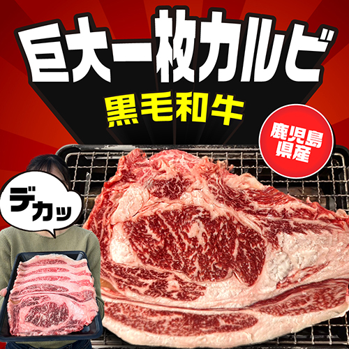インパクト大！ジューシーな黒毛和牛の大判カルビ