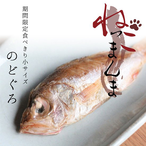 ハレの日に愛猫へ。尾頭付きの豪華なごちそう