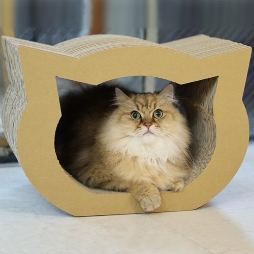 愛猫お気に入りの場所に！段ボール製の猫型ドーム