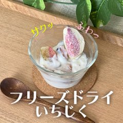 【軽やか！】衝撃的な食感と味の「フリーズドライいちじく」を食べてみたの画像