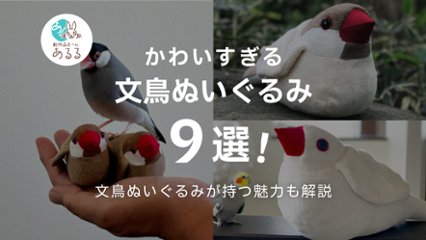 【抱き枕から手乗りサイズまで】文鳥ぬいぐるみ特集の画像