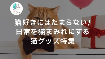 猫好きにはたまらない！日常を猫まみれにする猫グッズ特集の画像