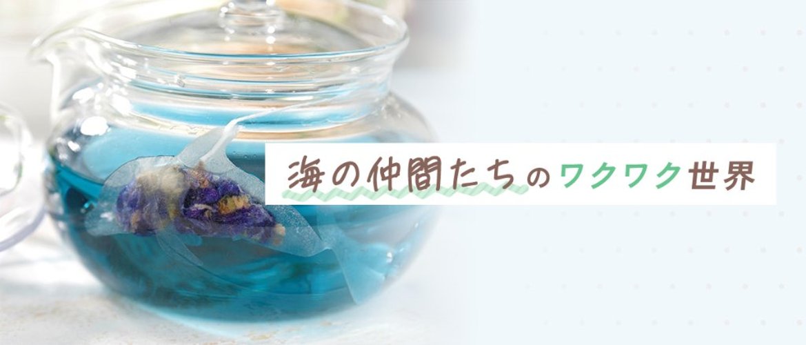 海の仲間たちのワクワク世界の画像