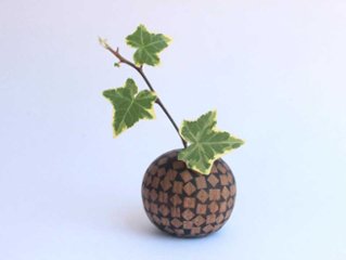 ころんと丸いモノの画像