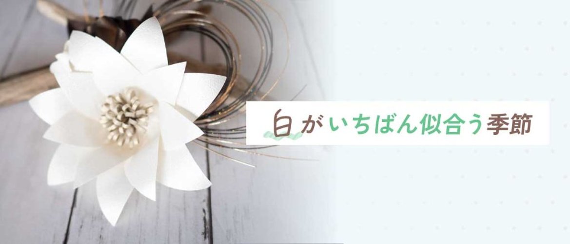 白がいちばん似合う季節の画像