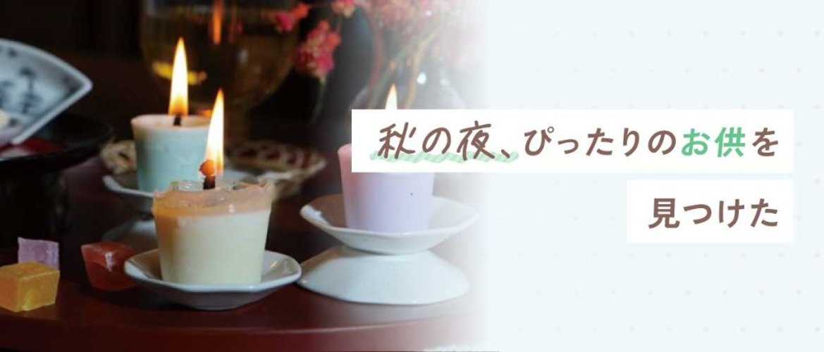 秋の夜、ぴったりのお供を見つけたの画像