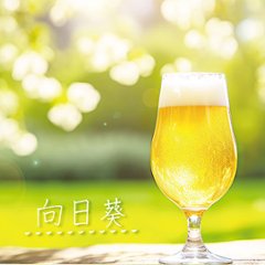 神津島の湧き水使用！フルーティーで飲みやすいクラフトビールの画像