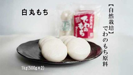 幻のもち米「でわのもち」で作る、自然栽培の丸もちの画像