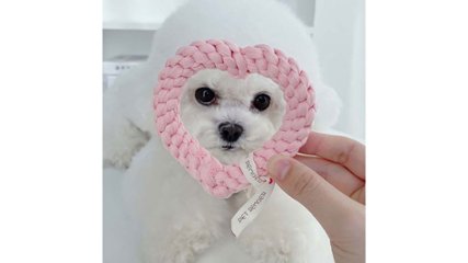 やさしい色合いで遊ぶ時間を。ハート型ロープトイ「pastel heart」の画像