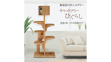 猫も人間も「自然」に暮らせる。青森ヒバの1枚板から生まれる“キャットツリーひぐらし”の画像