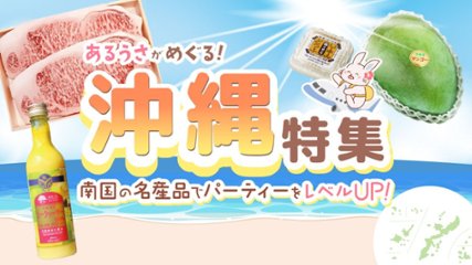 南国の名産品でパーティーをレベルアップ特集　【沖縄編】の画像