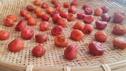 梅干しの日の画像