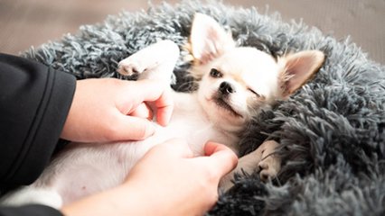 ウィンクの日（オクトーバーウィンク）の画像