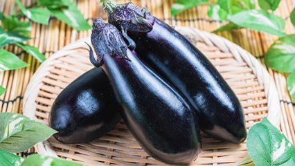 国産なす消費拡大の日  の画像