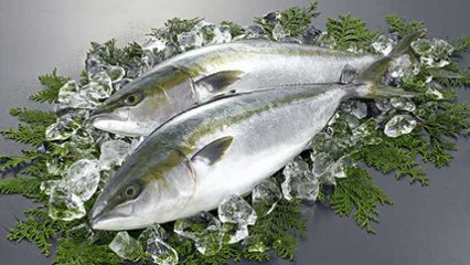 ブリの日 の画像