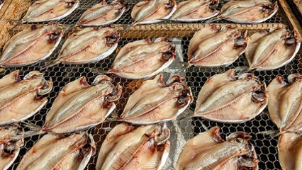 ひものの日 の画像