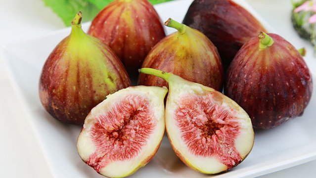 はっぴいおかん・大阪いちじくの日 