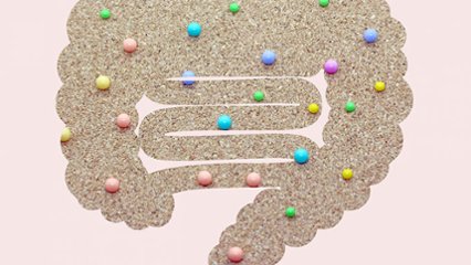 腸内フローラの日 の画像