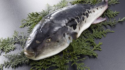 ふくの日 の画像