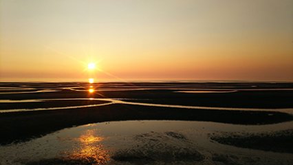 豊後高田市恋叶ロードの日 の画像