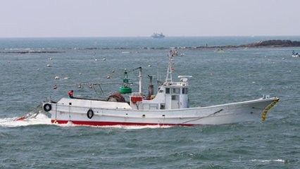 漁業法記念日の画像