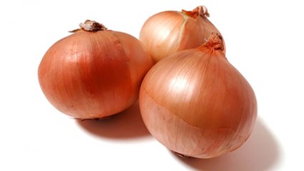 愛知の新たまねぎの日の画像