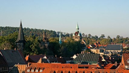 ヴァルプルギスの夜の画像