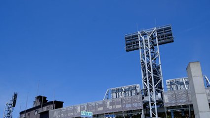 ラッキーゾーンの日の画像