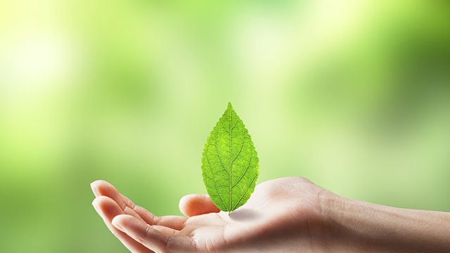 世界環境デー・環境の日