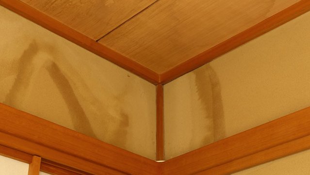 雨漏り点検の日