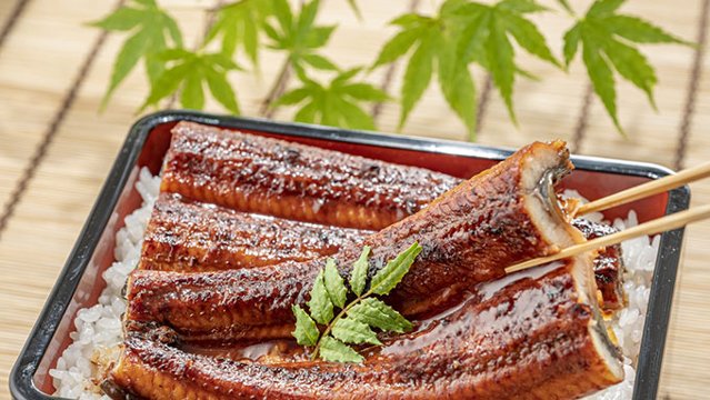 夏の土用の丑の日