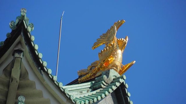 金シャチの日