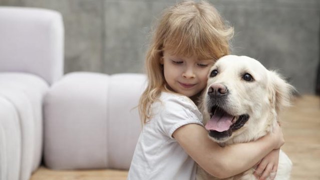 世界犬の日
