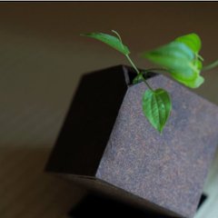 香紙器 / 漆画像