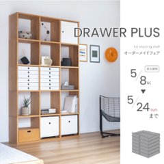 DRAWER PLUS / RAIL【OPEN SHELF PROJECT】の画像
