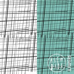  ASENDADA【Plaid】/ PAPERの画像