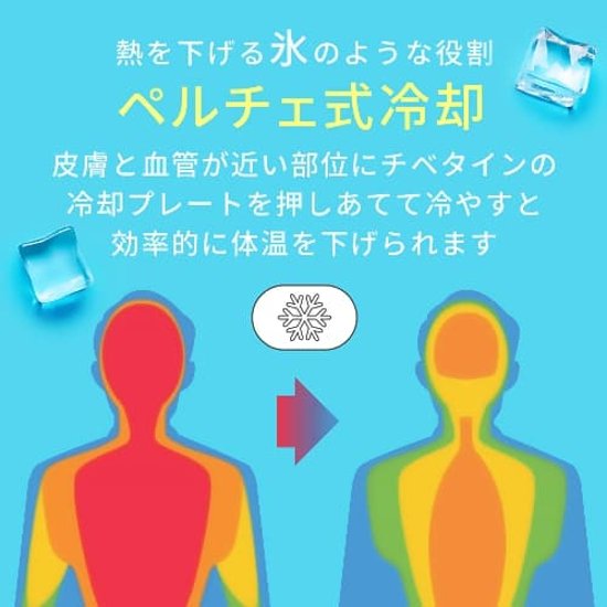 チベタイン　(CHIBETAIN)・冷却と涼感のハイブリットファン・冷却プレートファン・手のひらサイズのハンディファン　画像