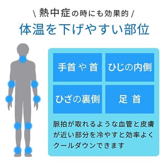 チベタイン　(CHIBETAIN)・冷却と涼感のハイブリットファン・冷却プレートファン・手のひらサイズのハンディファン　画像