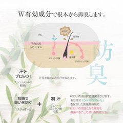 シークレットプラス デオドラントスプレー　「ワンプッシュ」で制汗&防臭画像