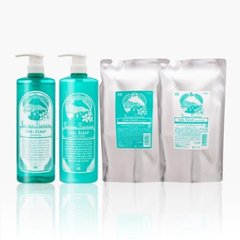 【ケンラックス】プルミエクール シャンプー＆コンディショナー　1000ml/800ml ひんやり冷感・頭皮環境・素髪の画像