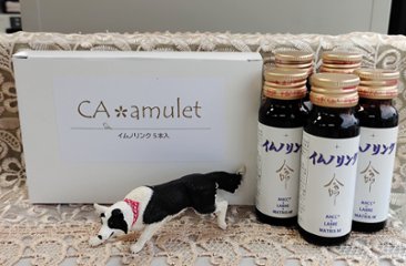 イムノリンク5画像