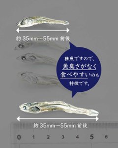 食べるかえりいりこ「ちびっ子いりこ」|池田漁業組合画像