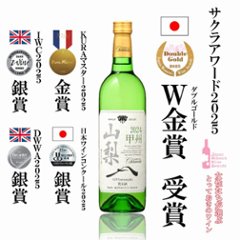 シャンモリ　ＧＩ山梨　甲州の画像