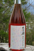 の画像
