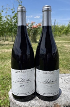 マザーバインズさん醸造！/【赤】ヴェレゾンノート　Nebbiolo ネッビオーロ 2019の画像