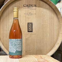 【ロゼ】111VINEYARD 111ヴィンヤード　HANA ハナ ほんのり 2023の画像